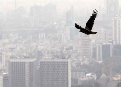 شهرهای صنعتی و پرجمعیت دو روز آینده آلوده اند ، پیش بینی شرایط هوای تهران