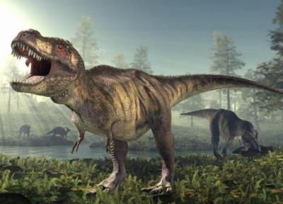 آیا می توان دایناسور ها را از روی DNA آنان بازسازی کرد؟