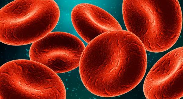 شاید با استفاده از داروی آناکینرا بتوان عملکرد سلول های بنیادی و کل سیستم خونی را جوانسازی کرد