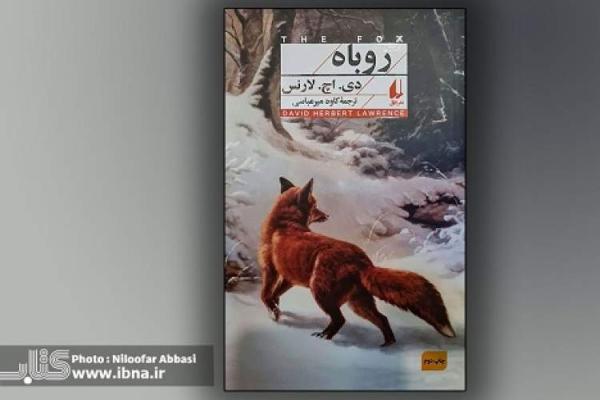 کتاب روباه به چاپ دوم رسید
